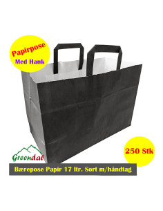 Carrier bag Paper 17L wite250pc/box - 