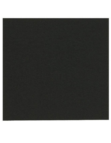 Serviet 24x24cm 2-lags Sort 2400stk/kar - 
