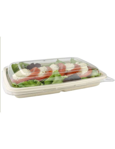 Miljøbakke Bagasse (LÅG) Rektangulær 850ml 10x50stk/kar - 