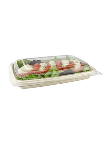 Bagasse bakke 600 ml 