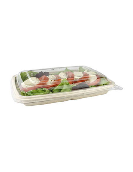 Bagasse bakke 600 ml 