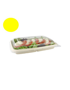 Bagasse Lid Tray Square 600ml 6x50pc/box -  2