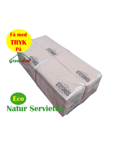 Napkin Eco Nature 33x33cm 2-layer 1/8 fold  2000pc/box - 