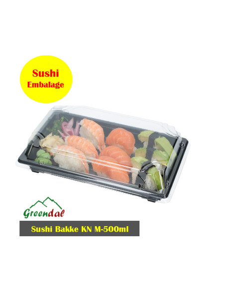 Sushi Bakke Kina model 500ml