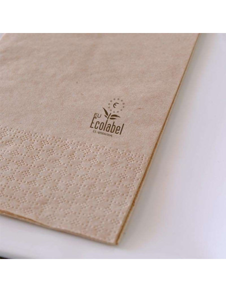 Napkin GoGreen 40x40cm 2-layer 1/4 fold Nature Eco 48x50pc/box - 