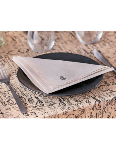 Napkin GoGreen 40x40cm 2-layer 1/4 fold Nature Eco 48x50pc/box - 
