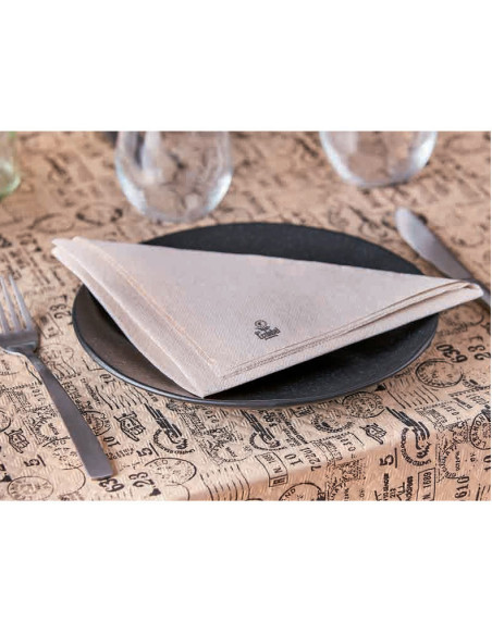 Napkin GoGreen 40x40cm 2-layer 1/4 fold Nature Eco 48x50pc/box - 
