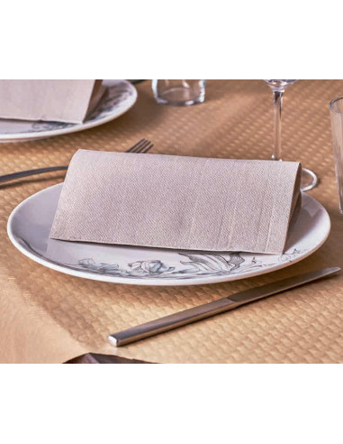 Napkin GoGreen 40x40cm 2-layer 1/4 fold Nature Eco 48x50pc/box - 