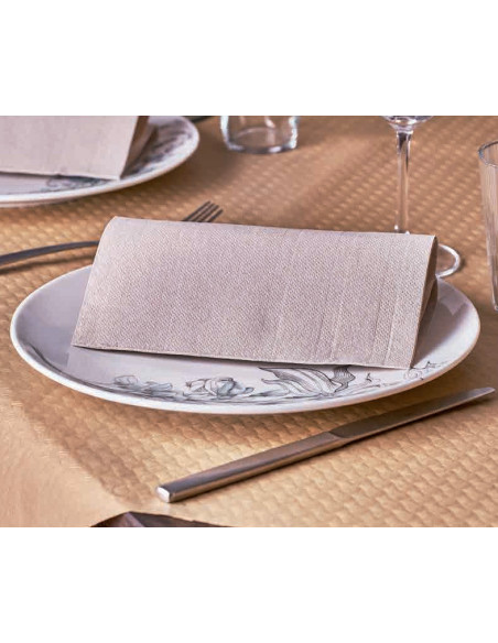 Napkin GoGreen 40x40cm 2-layer 1/4 fold Nature Eco 48x50pc/box - 