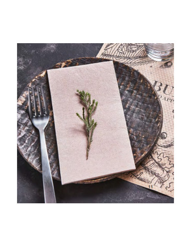 Serviet Eco GoGreen 40x40cm 2-lags 1/8 fold Natur 2500stk/kar - 