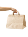 Carrying bags